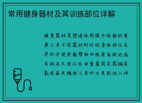 常用健身器材及其训练部位详解